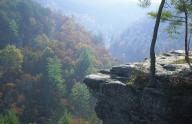 Cumberland-Plateau;Fall-Scenes;Forest;Leaf;Leaves;Nature;Trees;Autumn;Plants;Bot